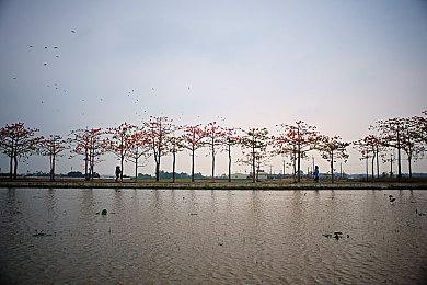 策略探索游戏《钻核公司》现已推出抢先体验版 获得好评